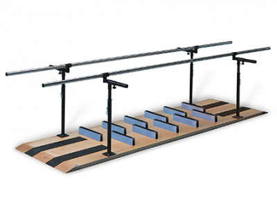 Hausmann 1393 Patented Ambulation And Mobility Platform