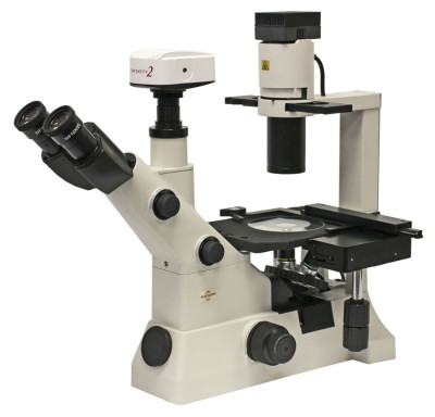 Accu-Scope EXI-300-PH