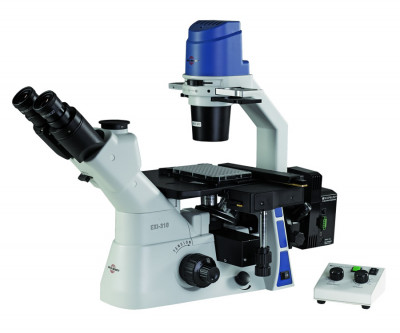Accu-Scope EXI-310-M