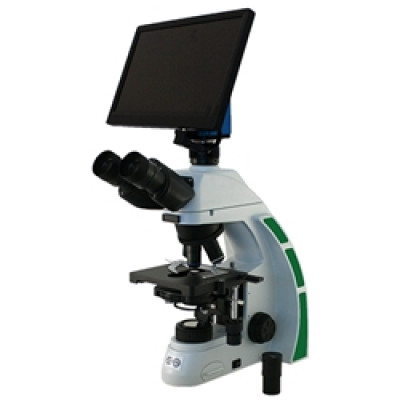 Andrology Semen Analysis Digital HD Phase