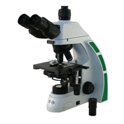Andrology Semen Analysis Phase