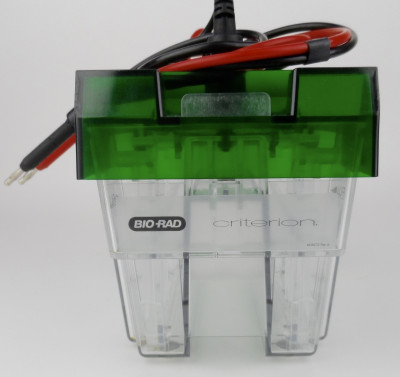 Bio-Rad Criterion Electrophoresis Blotter