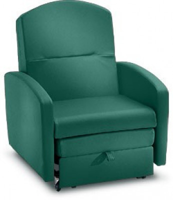Champion Overnighter Sleeper Chair W/300 Lb. Capacity. Sleeper Chair With Wood Arms