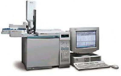 Custom 6890N Gas Chromatographs