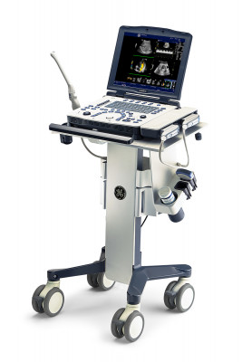 GE Logiq V2 portable ultrasound (system only)