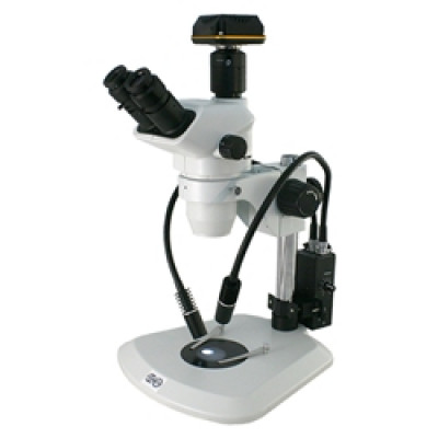 High Resolution Stereo Zoom Digital