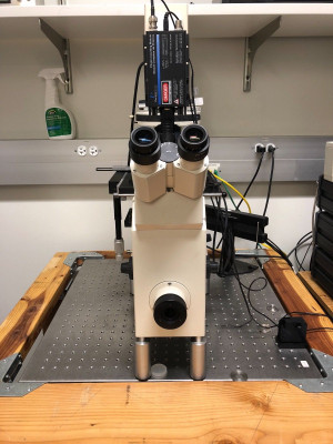 Nanonics NSOM System