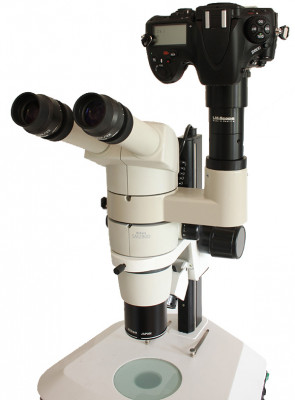 Nikon SMZ800