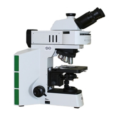 Fein Optic Rabies Diagnosis Testing