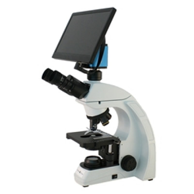 Richter Optica Dental Basic Phase HD