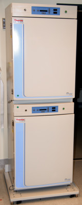 ThermoForma 370 CO2 Incubators