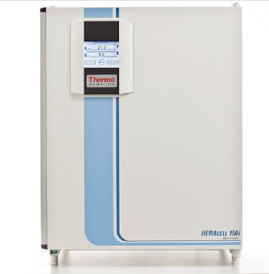 Thermo Scientific Heracell 150i CO2 incubator