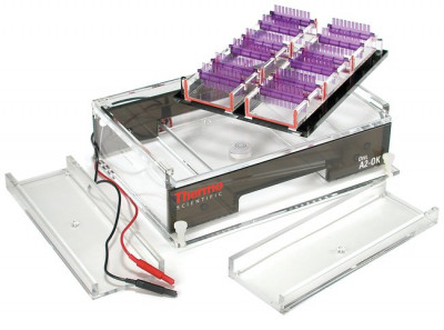 Thermo Scientific Owl Multiple Gel Electrophoresis System, Model A2