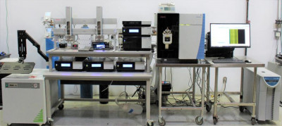 Thermo Fisher Scientific TSQ Endura w/ Transcend II LX-4 & Ultimate Pumps UHPLC Liquid Chromatograph
