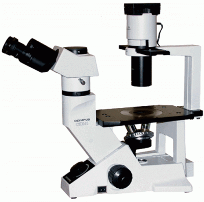 Jenco CP-2A1 Inverted Compound Microscope