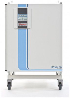 Heracell 150i with stainless steel inner chamber, 120V, 50/60Hz