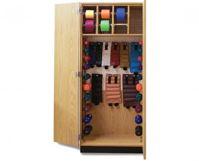 HAUSMANN 8250 THERA-WALL THERAPY STORAGE SYSTEM with Dumbbells, Hugger