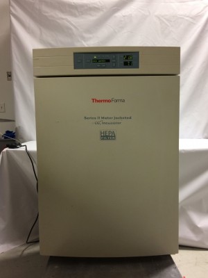 Thermo Forma Model: 3110 CO2 Water Jacketed Incubator