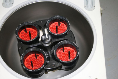 Thermo Scientific Sorvall Legend T+ Benchtop Centrifuge with Rotor