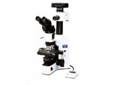 Olympus/ BX41-TF