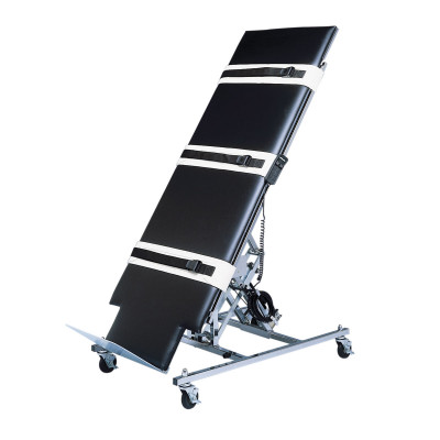 FEI 15-3042 Tilt Table - Professional Electric, Upholstered, 28